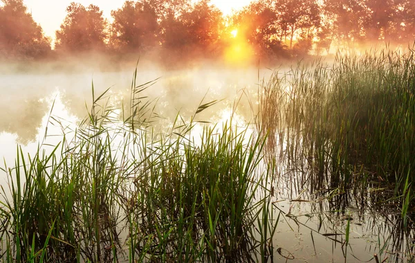 Morning river fog — Stock Photo, Image