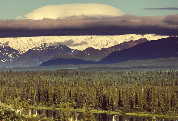 McKinley peak in alaska — Stock Photo, Image