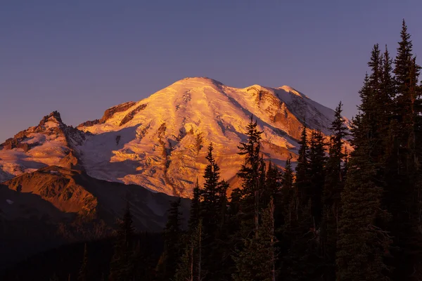 Mount rainier nemzeti park — Stock Fotó