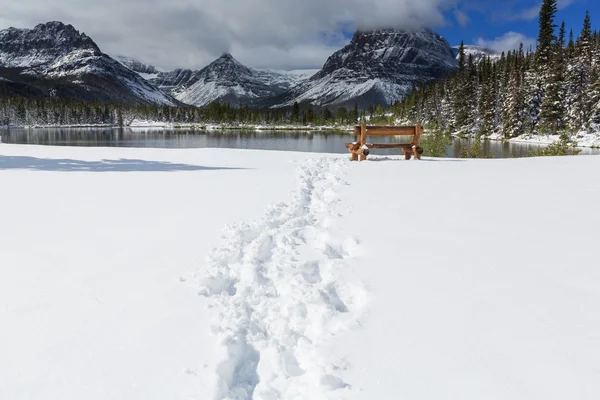 Inverno no parque glaciar — Fotografia de Stock