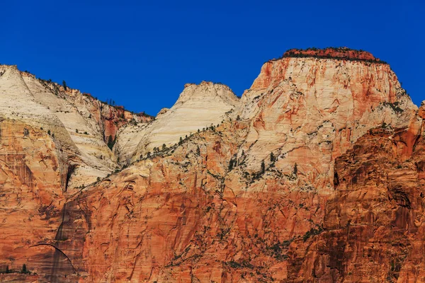 Zion national park — Stok fotoğraf