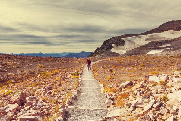 Hombre excursionista en el monte Rainier — Foto de Stock