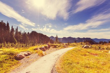mt rainier Amerika'da hiking