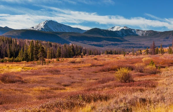 Grand Teton National Park — Stock Photo, Image