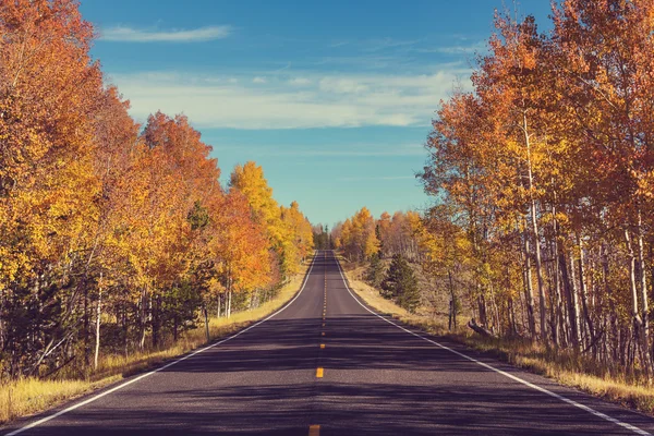 Autumn road in Sierra Nevada — Stock Photo, Image