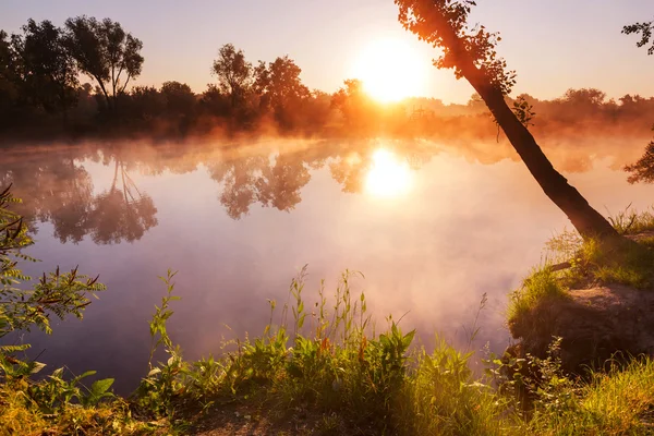 Zomer rivier mist — Stockfoto