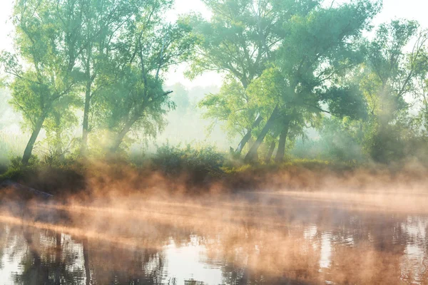 Καλοκαίρι ποτάμι ομίχλης — Φωτογραφία Αρχείου