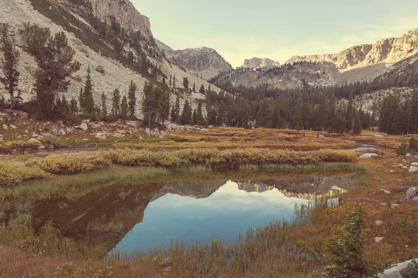 Grand Teton nationalpark, — Stockfoto