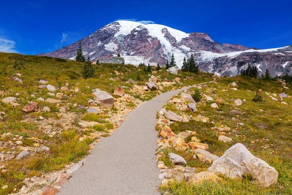 Mount Rainier park — Stock Photo, Image