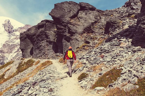 Hiker walking on mountain — Stock Photo, Image