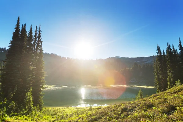 Göl ve buzul tepe — Stok fotoğraf