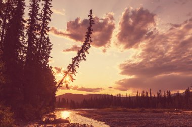 güzel bir günbatımı manzara