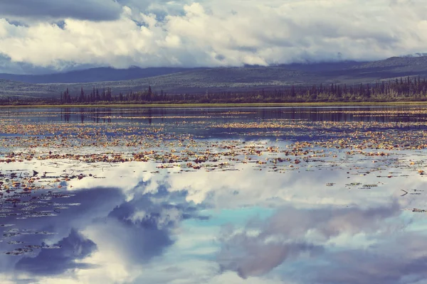 Hermoso lago en las montañas — Foto de Stock