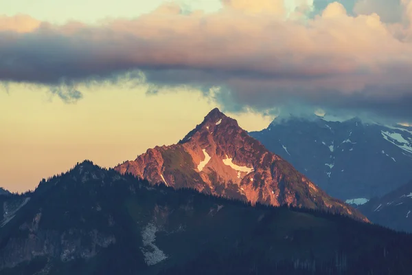 Berg Adams in Washington — Stockfoto