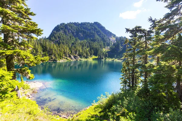 Serenity Emerald Lake — Stock Photo, Image