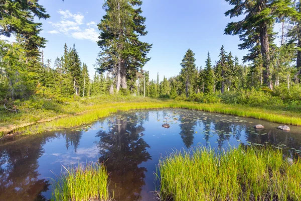 Vacker lugn sjö — Stockfoto