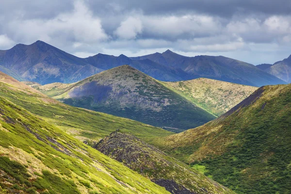 güzel Tundra manzara