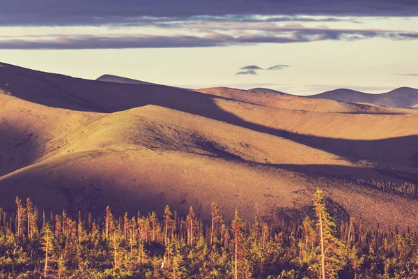 Kutup tundra manzara — Stok fotoğraf