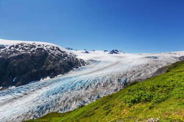 Exit glacier at National Park clipart