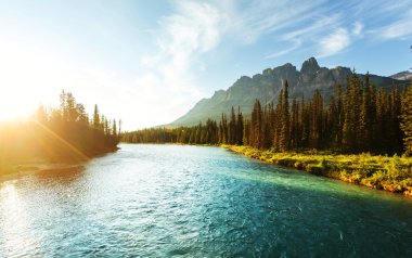 Banff Ulusal Parkı