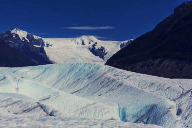 Kennecott buzul gölü etrafında bizimkiler yaşar