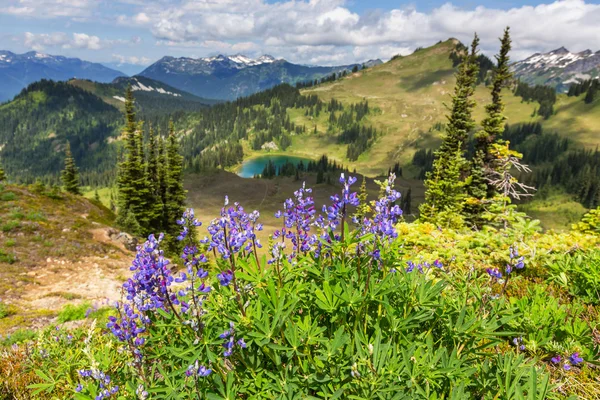 Jezioro i Glacier Peak — Zdjęcie stockowe