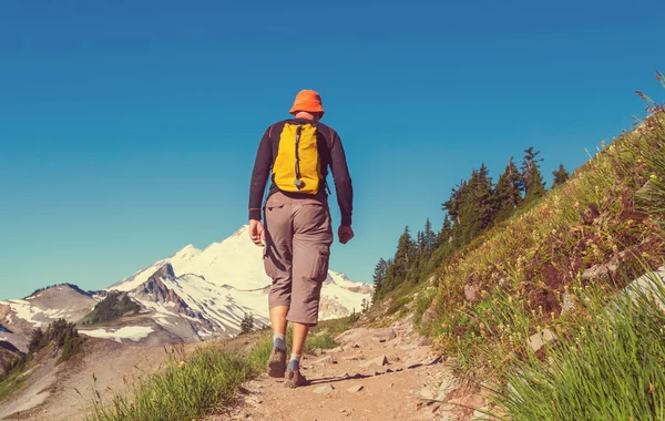 Dağlarda yürüyüş adam