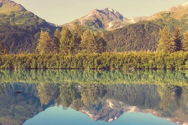 Lago de la serenidad en tundra — Foto de Stock