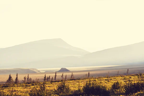 Polarlandschaft Tundra — Stockfoto