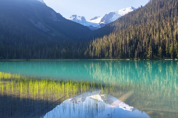 Joffre lake in Canada — Stock Photo, Image