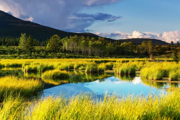 Serenity lake in tundra — Stock Photo, Image