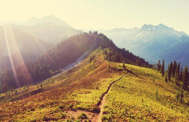 Washington'daki pitoresk dağlar