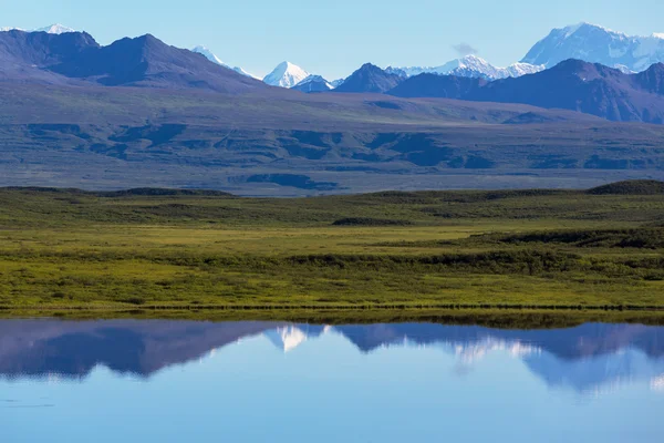 Lago de la serenidad en tundra — Foto de Stock