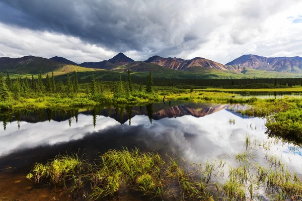 Lago da serenidade em tundra — Fotografia de Stock