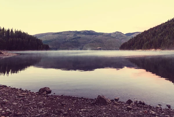 Serenidade nebuloso lago — Fotografia de Stock