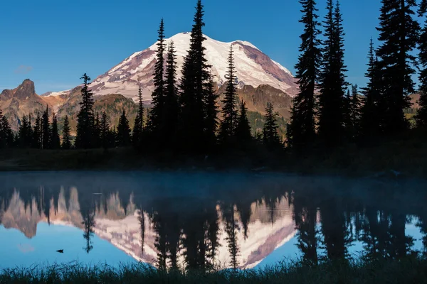 Mount rainier park — Stockfoto