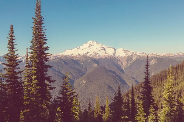 Glacier piek bij zonsopgang — Stockfoto