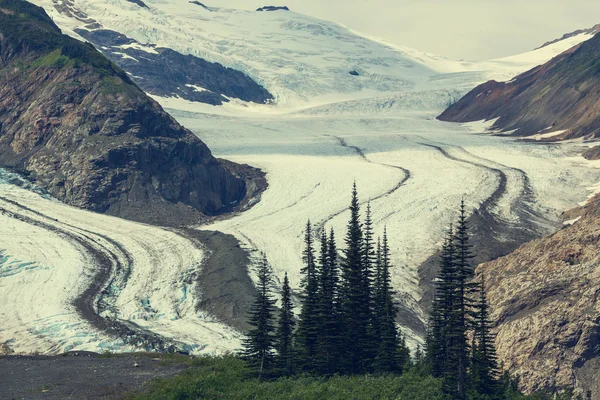 Lax-glaciären i Stewart — Stockfoto