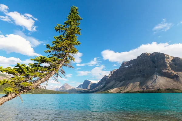 Τόξο λίμνη, Icefields Parkway — Φωτογραφία Αρχείου