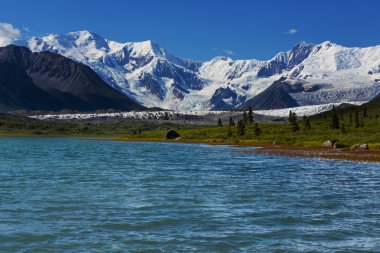Wrangell-St. Elias Ulusal Parkı