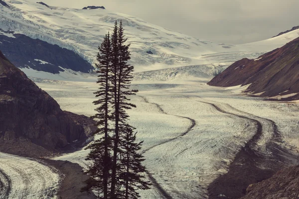 Lax-glaciären i Stewart — Stockfoto