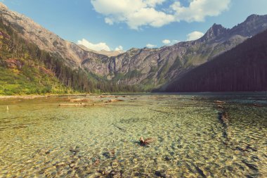 Bowman Gölü Parkı