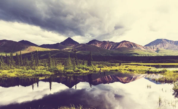 Lago da serenidade em tundra — Fotografia de Stock