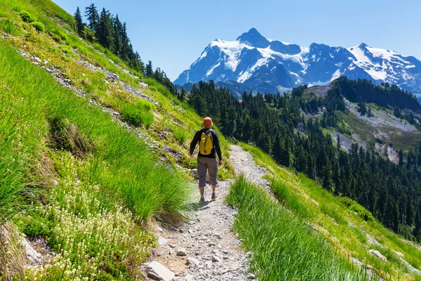 Wandelen man in Bergen — Stockfoto