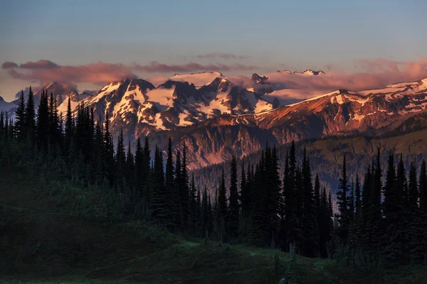 Bellissime montagne a Washington — Foto Stock