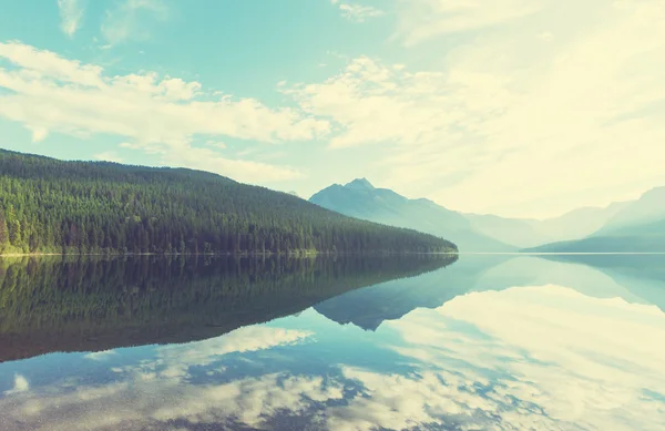 Bowman lake in Park — Stockfoto