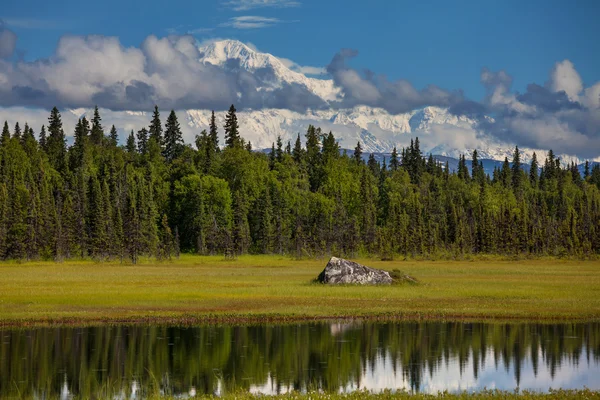 Denali (Mckinley) en yüksek — Stok fotoğraf