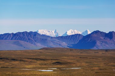 Denali karayolu üzerinde manzara