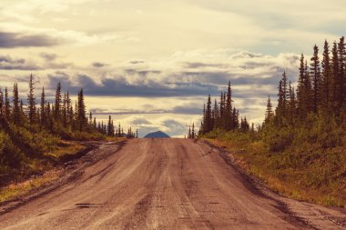 Denali karayolu üzerinde manzara