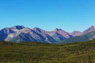 Alaska'da Arktik dağlar